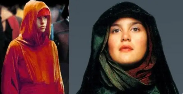 Padme`s Handmaidens